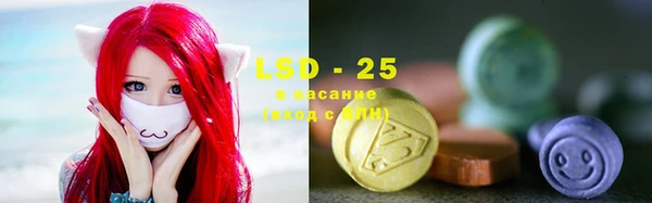 шишки Покачи