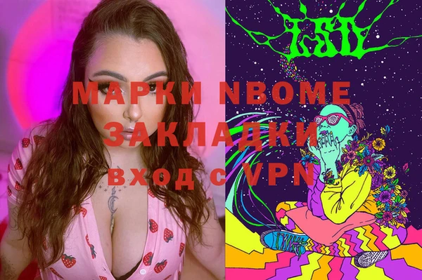 шишки Покачи