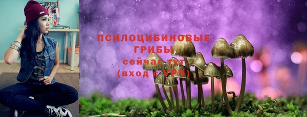 винт Аркадак