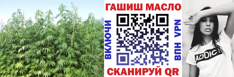 OMG как войти  Аша  Дистиллят ТГК THC oil 